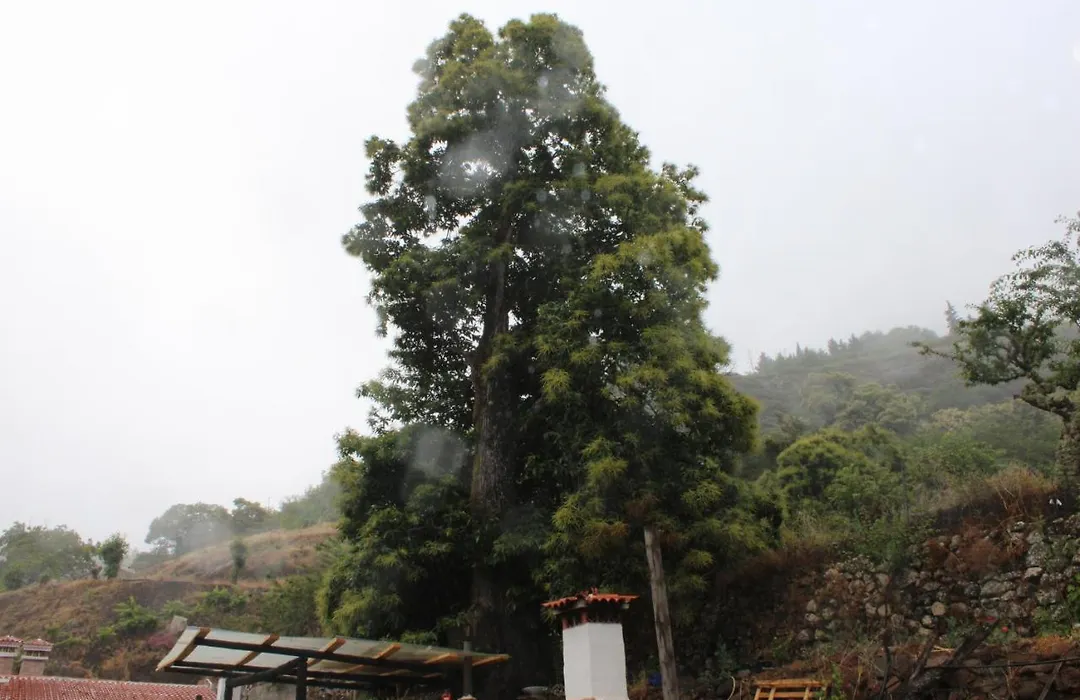 Finca El Cole-1